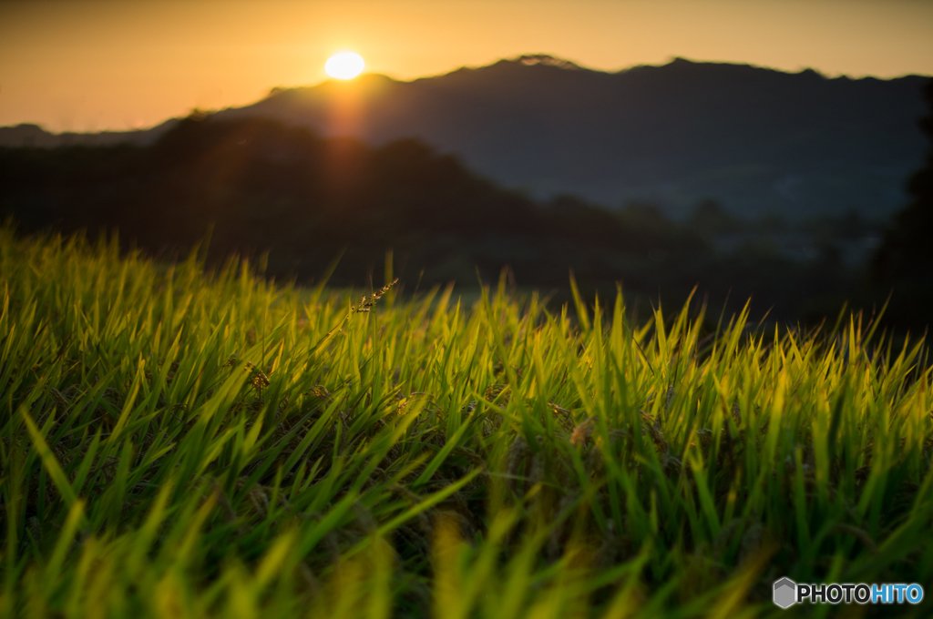 棚田夕景<5>