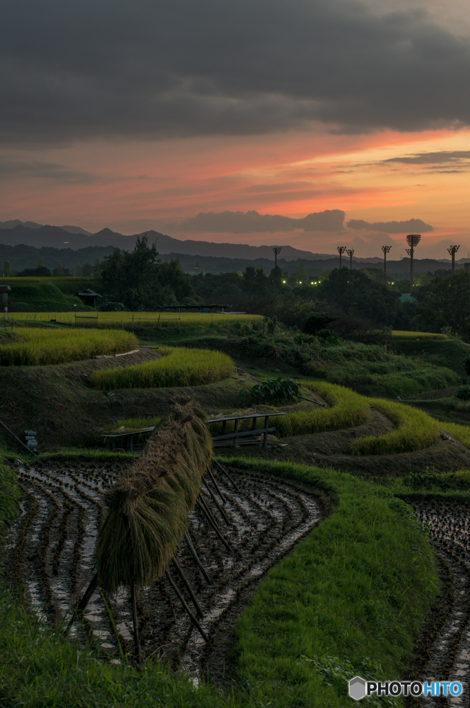 下赤坂棚田の夕景<5>