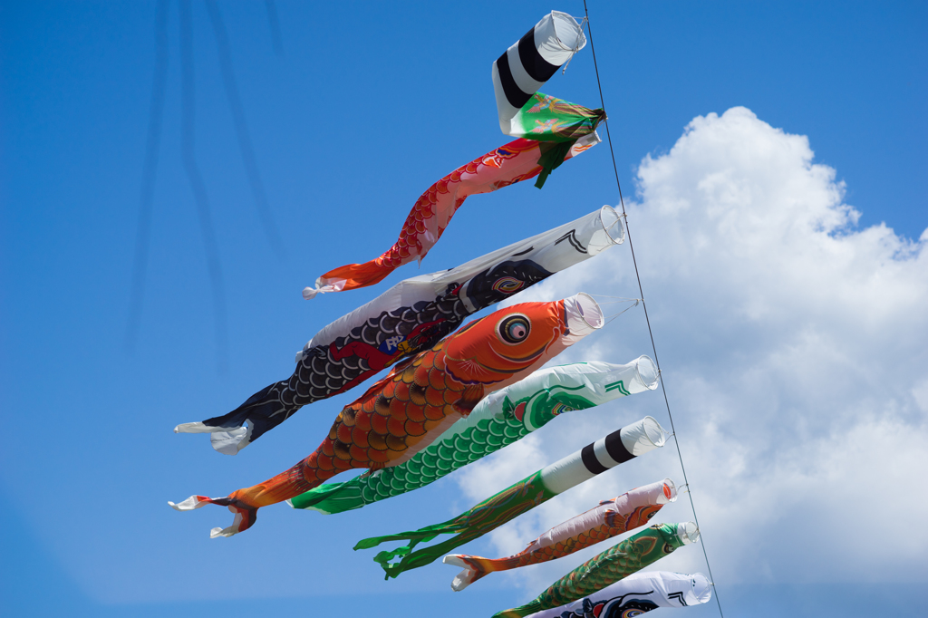空を泳ぐ