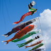 空を泳ぐ