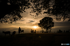 本日の夕日(20150912)