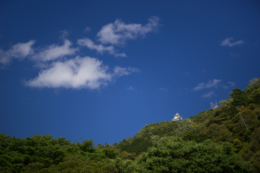 快晴の岐阜城