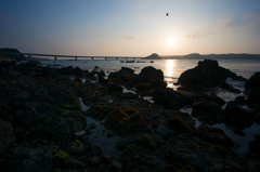 夕日と鳥と角島大橋