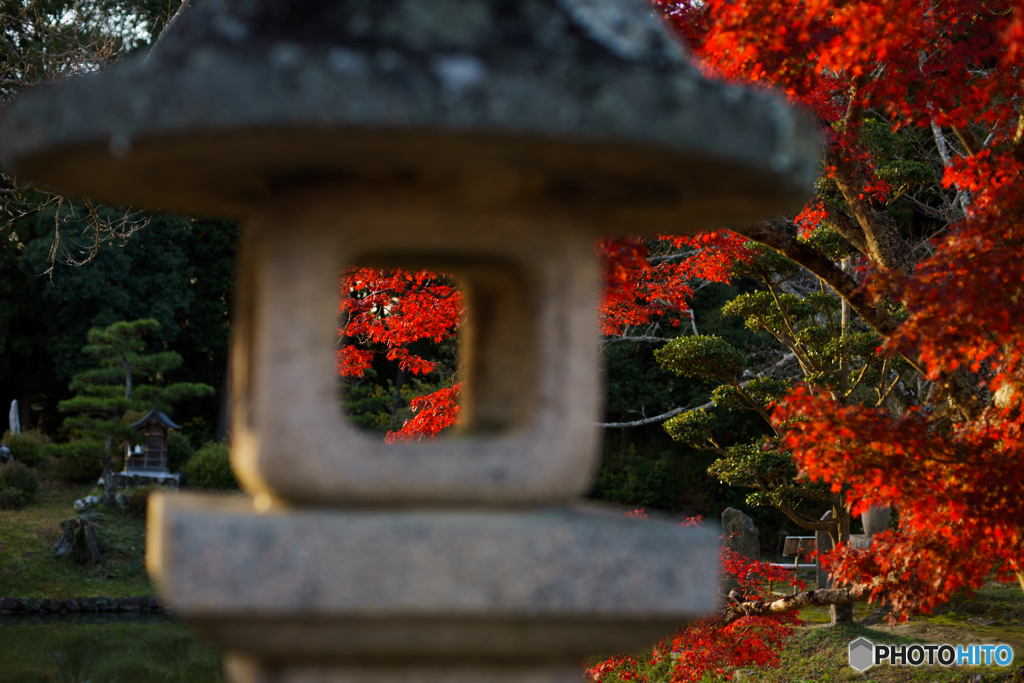 紅葉<覗き窓>