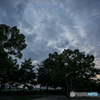 夕雲