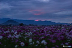 微かに夕焼け