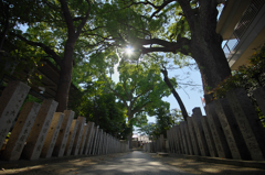 阿麻美許曾神社