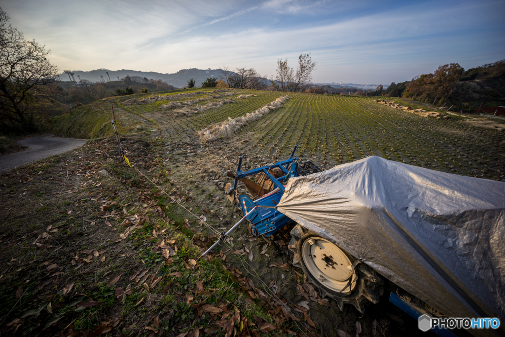 冬の棚田風景<8>