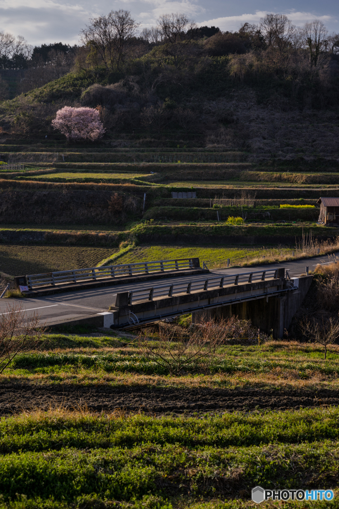 稲渕の棚田風景<2>