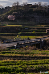 稲渕の棚田風景<2>