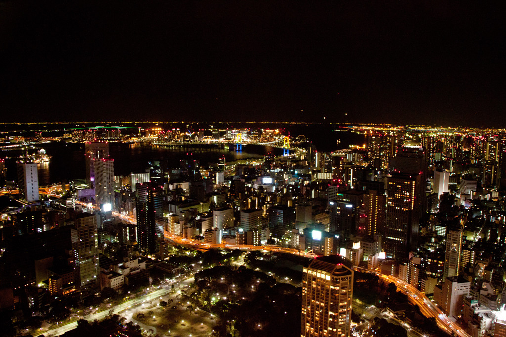 Tokyo Tower -A Happy New Year- 