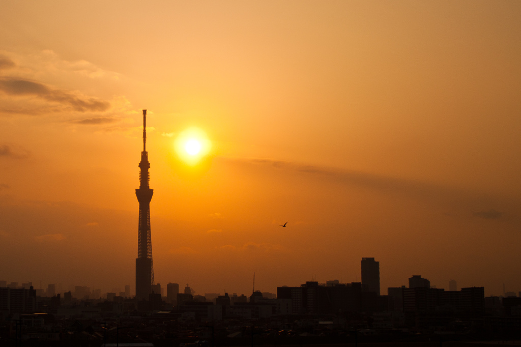 The silhouette of skytree