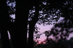夕刻の公園にて１