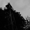 夕刻の公園にて３