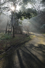 霧の公園２