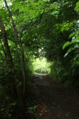 公園風景２