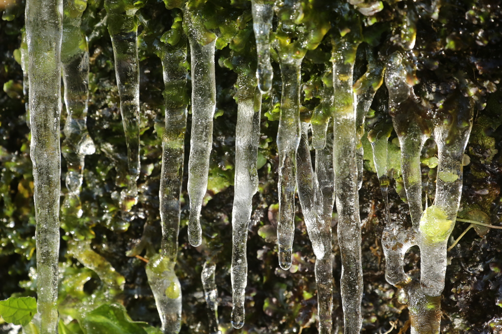 谷戸の氷２