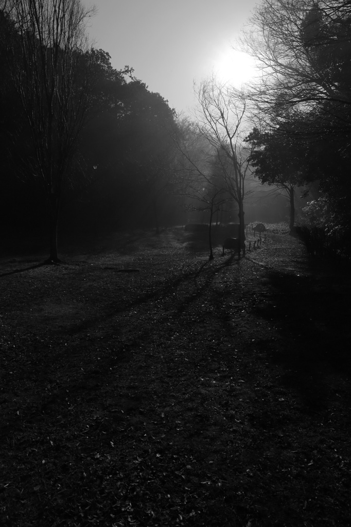 公園風景１