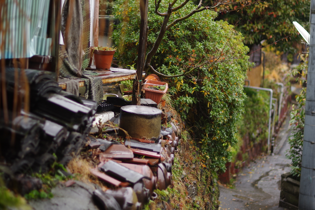 雨の常滑散歩道