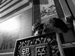 DSCF1993s