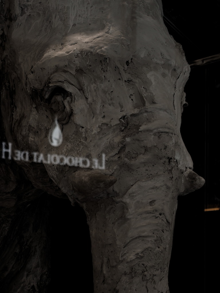 チョコレートが恋しくて