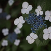 P0001228