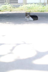 日陰で待ち合わせ