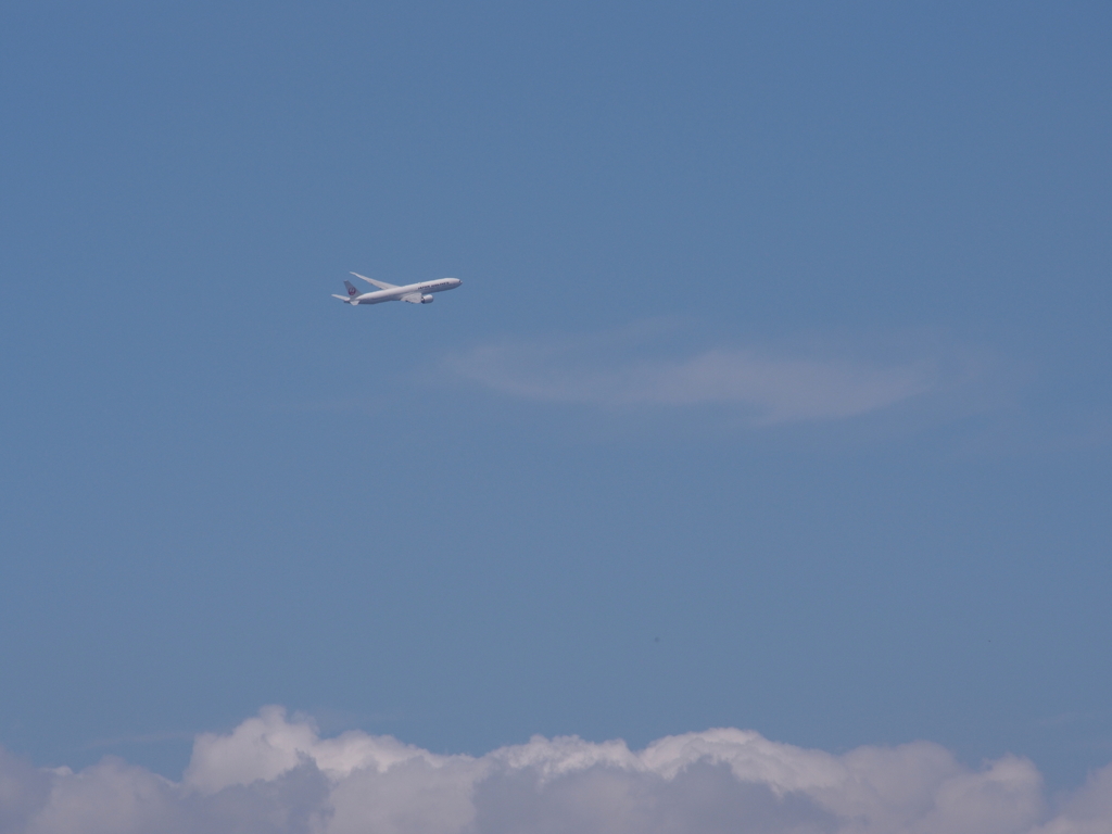 飛んで、とんで・・・♪