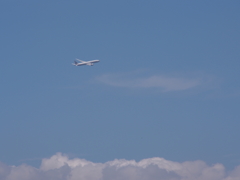 飛んで、とんで・・・♪