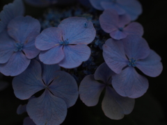 P0001225