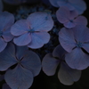 P0001225