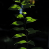 P9209836