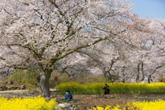 春色の思い出を