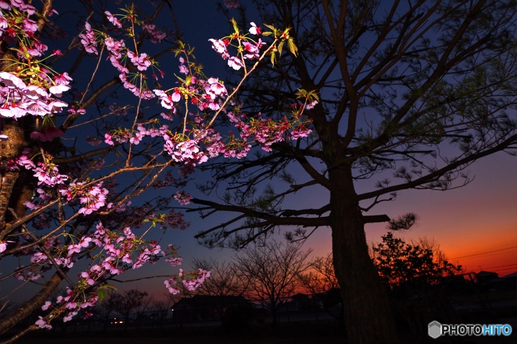 公園の夕暮れ