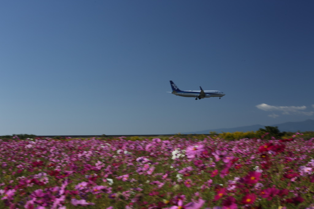 ANA  Take off