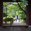庭