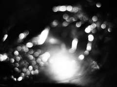 cellophane1