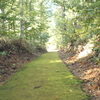 e116 010