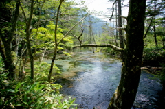 上高地にて