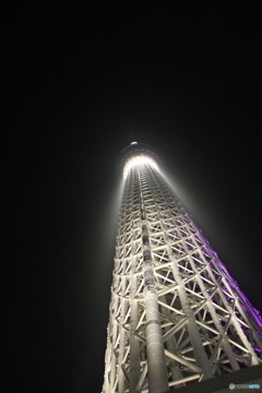 聳える巨塔