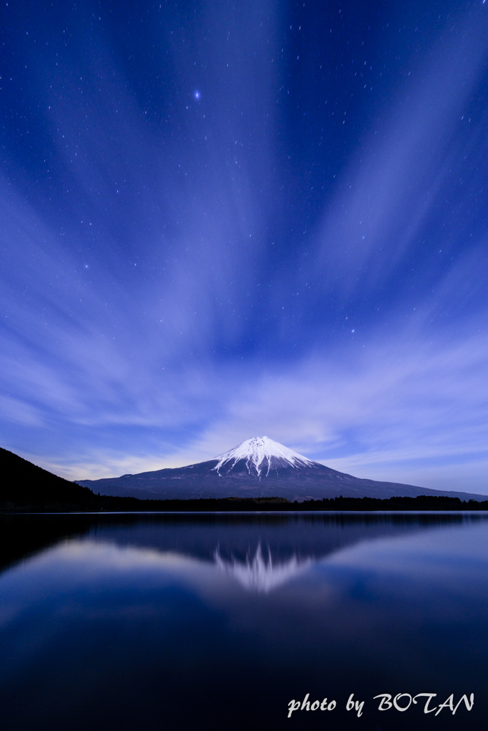 月夜に舞う