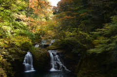 秋を彩る荷担滝