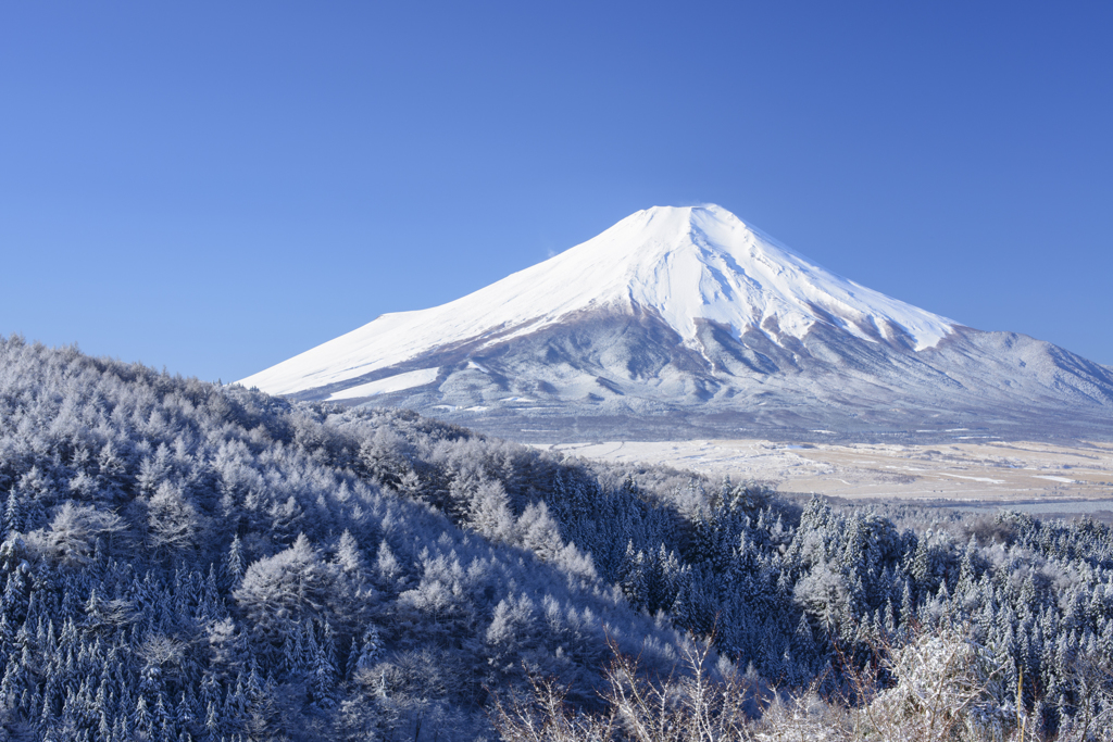 雪燃ゆ