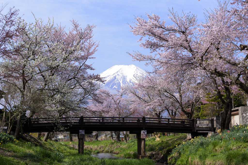 受け継がれる風景