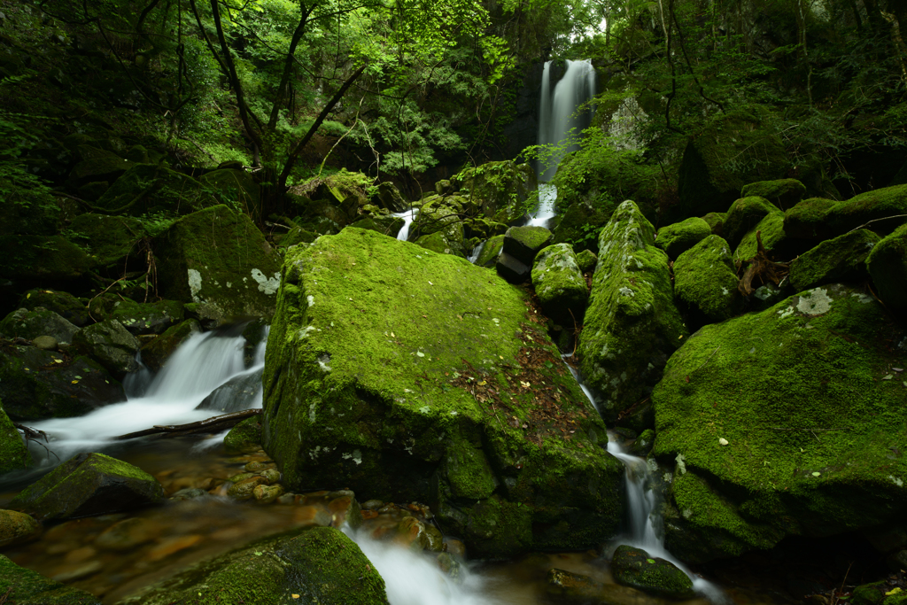 緑の滝