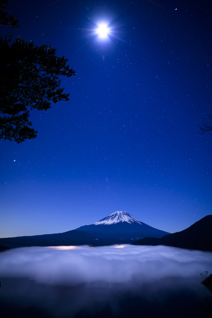 月夜の夢