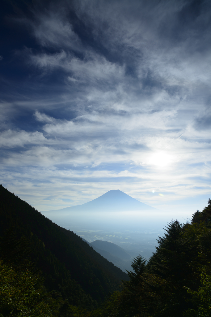 林道より望む景色