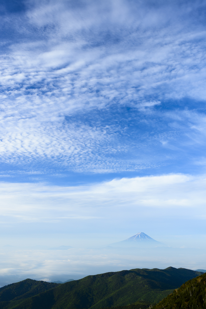 sky high！