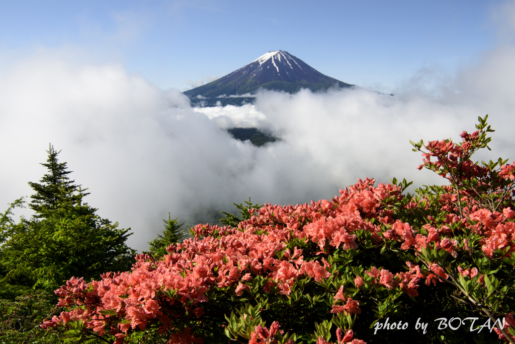 暴れ雲と華