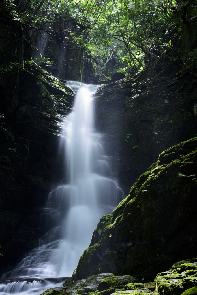 水龍の棲処